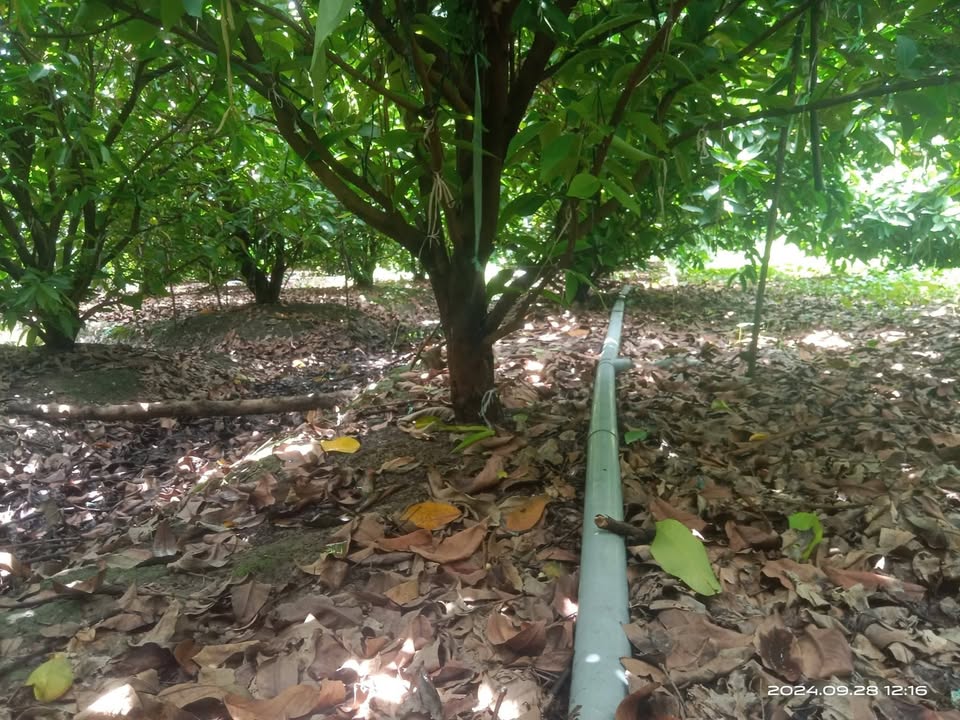 Đất nền xã Vĩnh Thới, 700m² giá 400 triệu - Đầu tư lý tưởng cho tương lai!