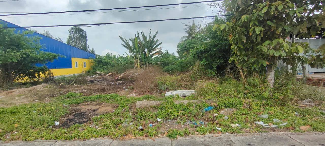 Đất nền góc 2 mặt tiền Quốc lộ 1A và hẻm 2m tại Vĩnh Lợi - Bạc Liêu chỉ 2.55 tỷ