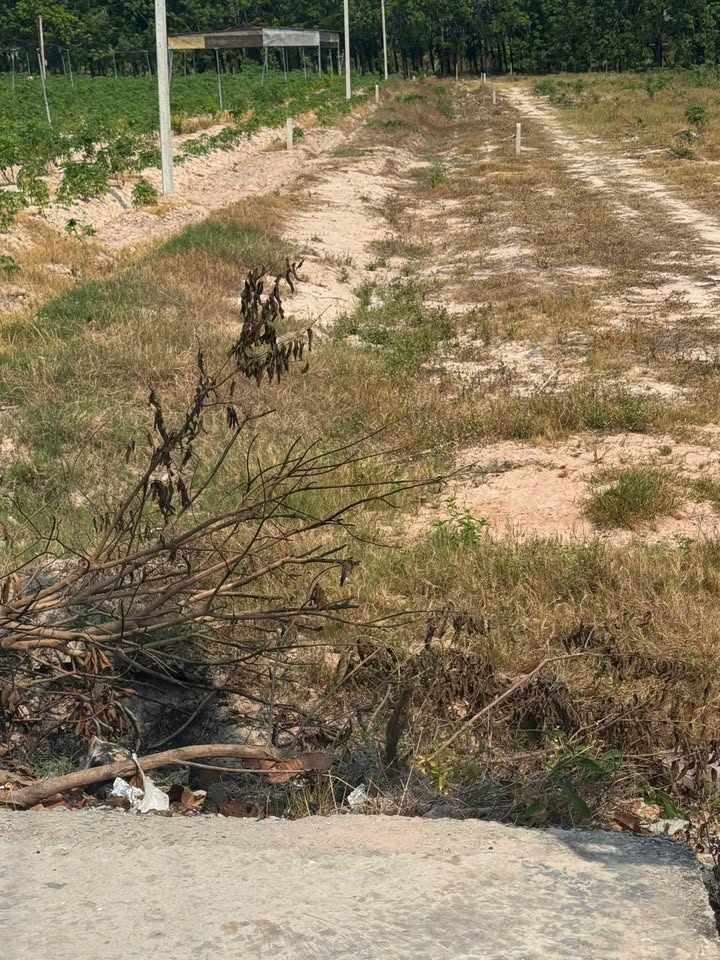 Đất nền 10.000m² tại Kinh tế, Tây Ninh giá 1 tỷ - Cơ hội đầu tư hiếm có!