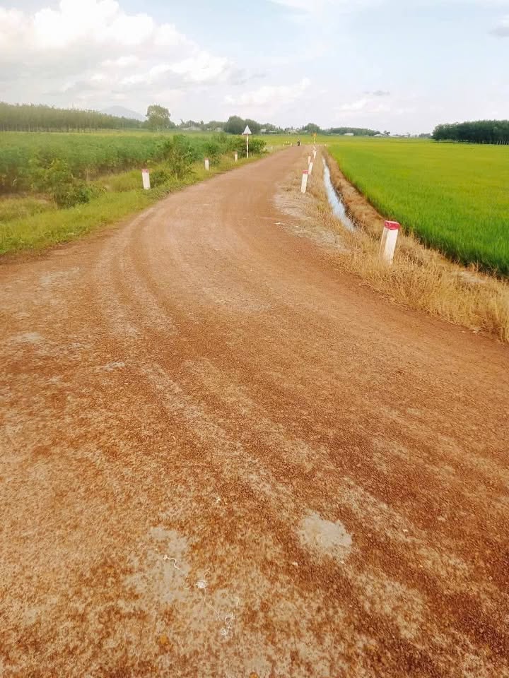 Đất lúa 29,000m² tại xã Hảo Đước, Châu Thành, Tây Ninh - Giá chỉ 3 tỷ!