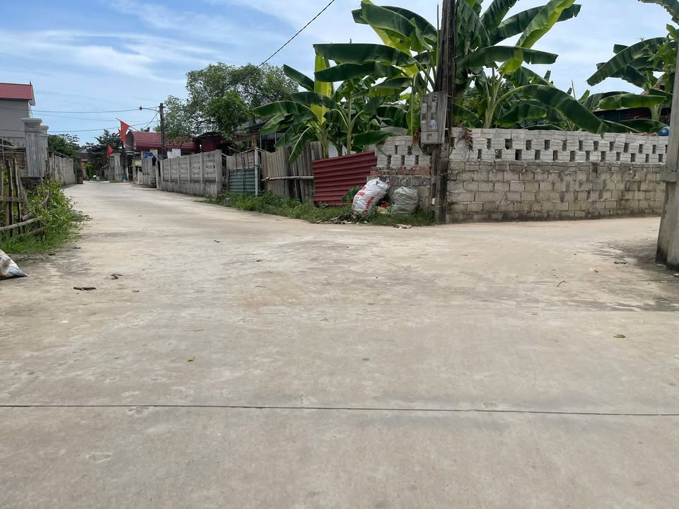 Đất nền Dân Lý, Triệu Sơn 165m² giá chỉ 600 triệu - Đầu tư sinh lời ngay!