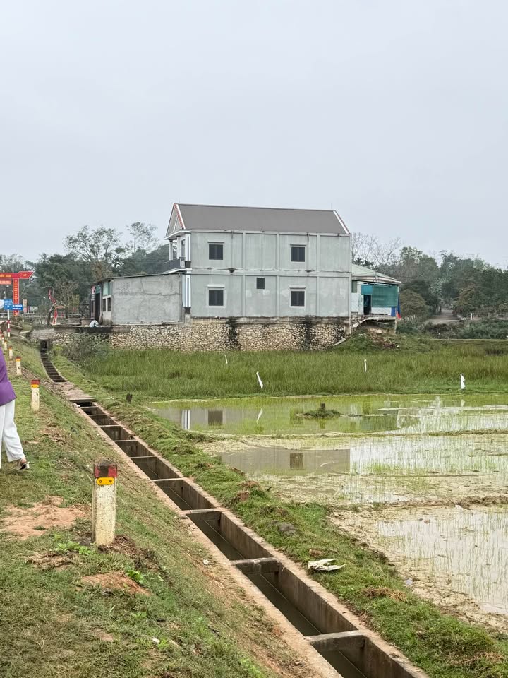 Đất kinh doanh mặt tiền chợ Chùa Sơn Tiến 150m² giá 800 triệu - Đầu tư sinh lời ngay!