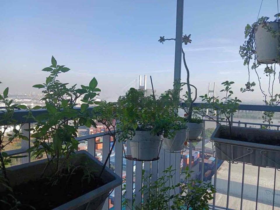 Nhà mặt tiền Hải Thượng Lãn Ông, Quận 5, 100m² chỉ 28.5 tỷ - Cơ hội đầu tư tuyệt vời!