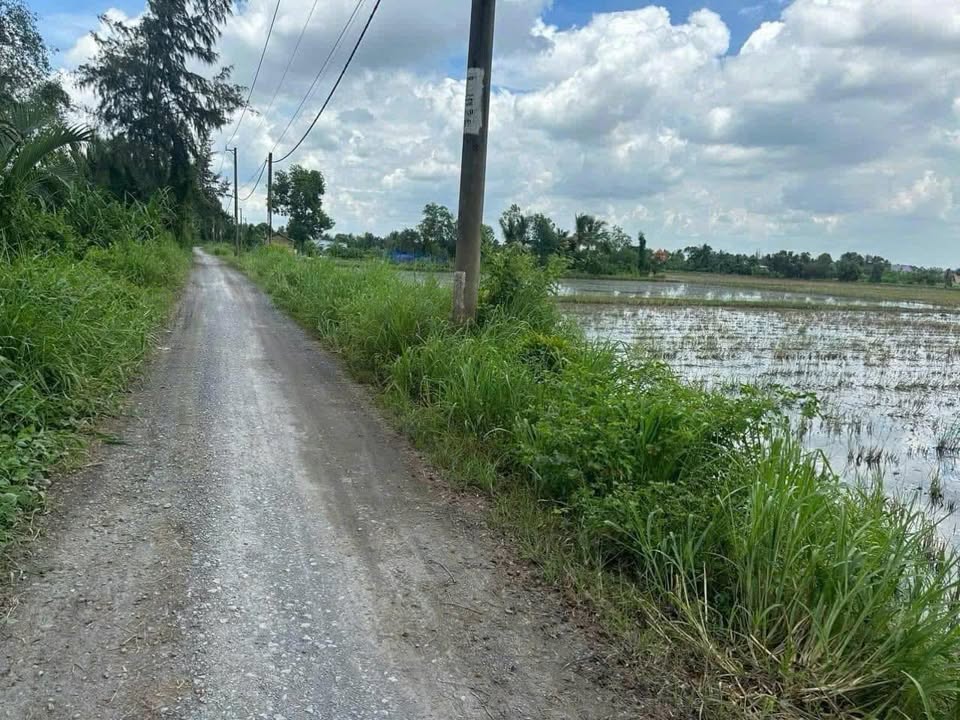 Đất nền 2000m² mặt tiền kênh ranh Tân Nhựt, Bình Chánh giá 3.65 tỷ - Cơ hội đầu tư hấp dẫn!