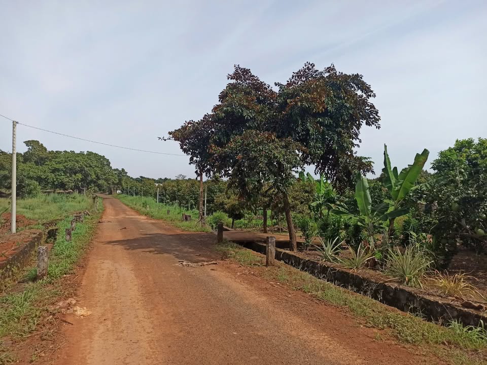 Đất vườn 864m² tại Bình Chánh giá chỉ 290 triệu - Sổ đỏ chính chủ