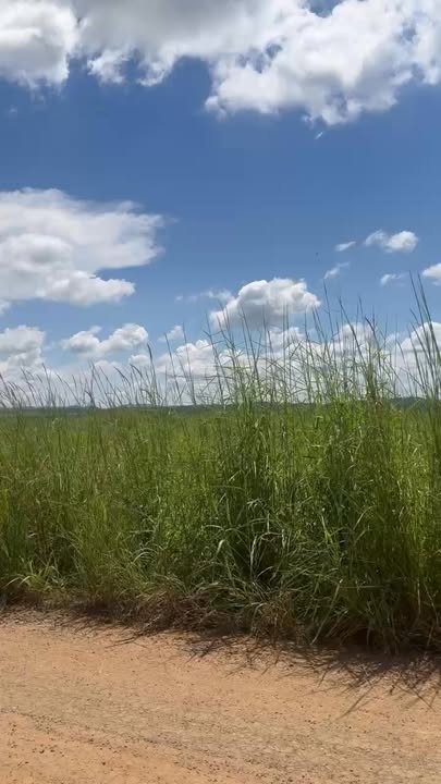 Đất nông nghiệp Đông Anh 2360000m² giá chỉ 120 triệu/ha - Cơ hội đầu tư hiếm có!