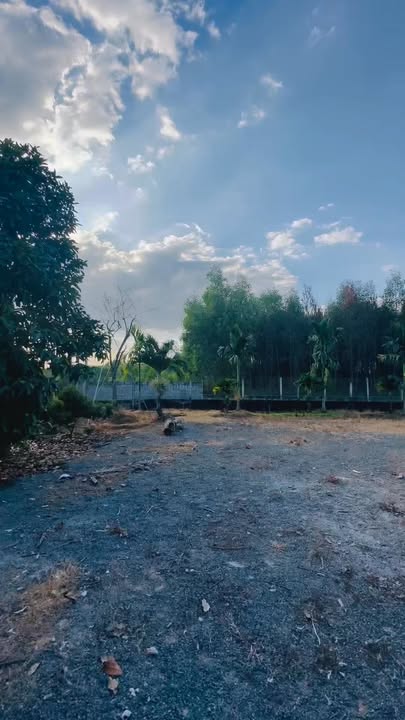 Bán đất vườn 10,800m² tại Bình Lợi, Vĩnh Cửu - Giá chỉ 2.1 tỷ, cơ hội đầu tư tuyệt vời!