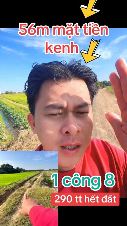 Đất nền 1800m² tại Long Khánh, Bến Cầu - Giá chỉ 290 triệu VND!