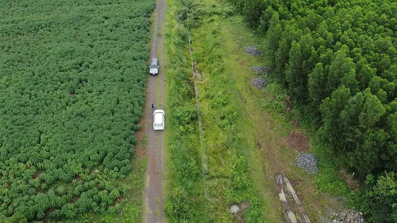 Đất liền kề tại Long Tân, 1.000m² giá 1.05 tỷ - Pháp lý rõ ràng!