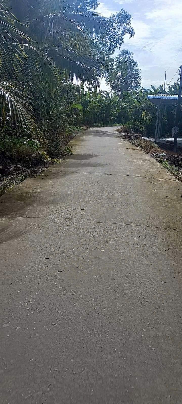 Đất cây lâu năm Trường Long, Phong Điền, 1211m² giá 1.45 tỷ - Đầu tư sinh lời ngay!