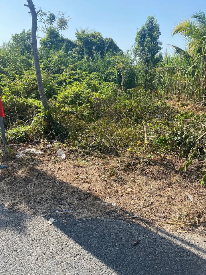 Đất nền 1.053m² mặt tiền 16m đường 922 - Cơ hội đầu tư tuyệt vời!