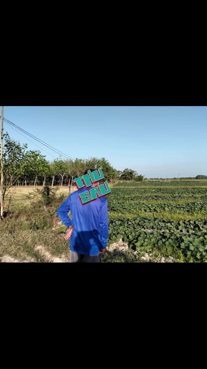 Đất nền 1210m² xã Long Khánh, Bến Cầu - Giá chỉ 2.431 tỷ!