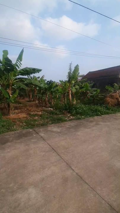 Đất thổ cư 262m² tại Nghĩa Phú, Nam Định - View sông thoáng mát!