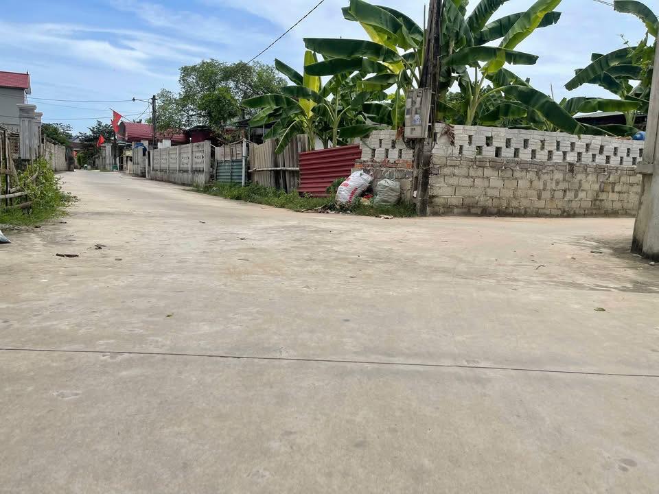 Đất nền Dân Lý - Triệu Sơn 165.4m² chỉ 600 triệu - Vị trí đẹp, tiện kinh doanh!