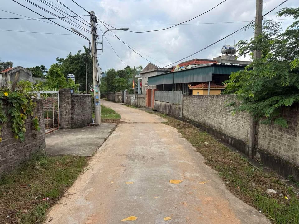 Đất nền Khu Trại Thành Đông Mai 122m² giá chỉ 9xx triệu - Sở hữu ngay lô đất đẹp!