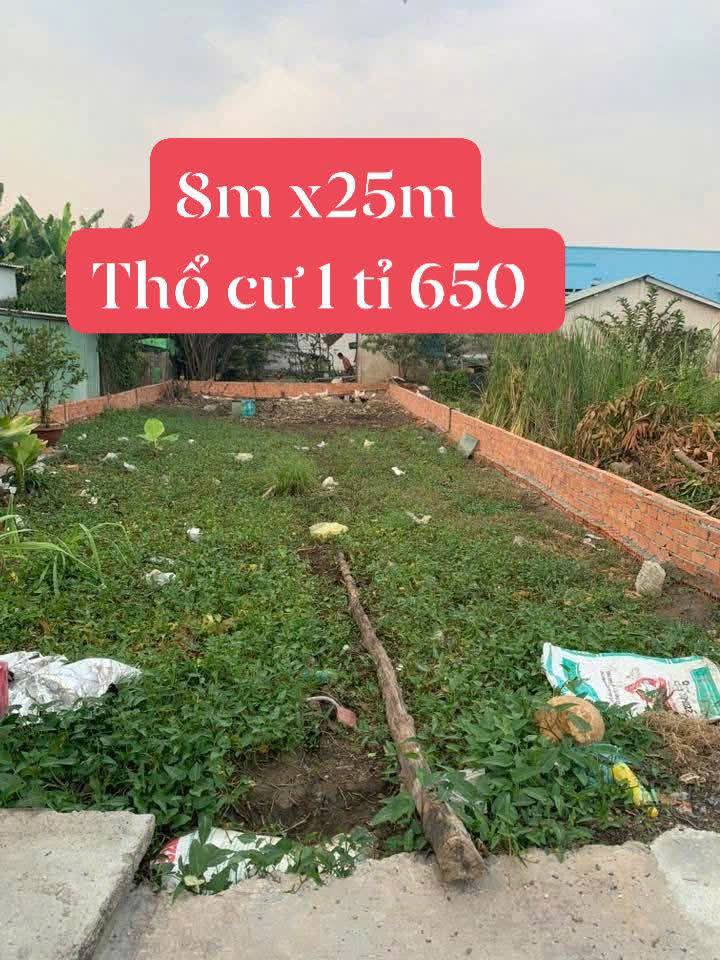 Đất nền Cần Giuộc Long An 200m² giá 1.65 tỷ - Sổ riêng, pháp lý rõ ràng!