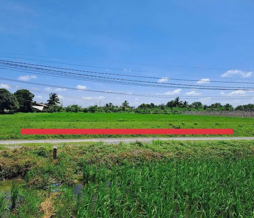 Đất nền Hiệp Hòa, Tây Ninh 2000m² giá 4 tỷ - Cơ hội đầu tư hấp dẫn!