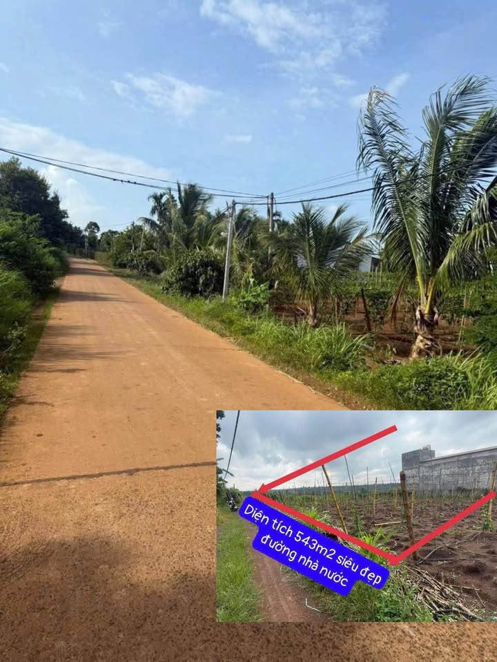 Đất nông nghiệp 600m² tại Xã Ea Nuôl, giá chỉ 345 triệu - Cơ hội đầu tư hấp dẫn!