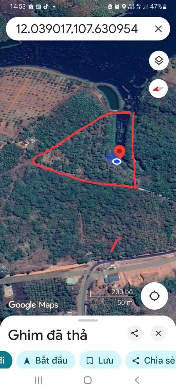 Farm Tân Hiệp, Đăk R'Moan 1.1ha giá 3.15 tỷ - Đầu tư sinh lời tốt!