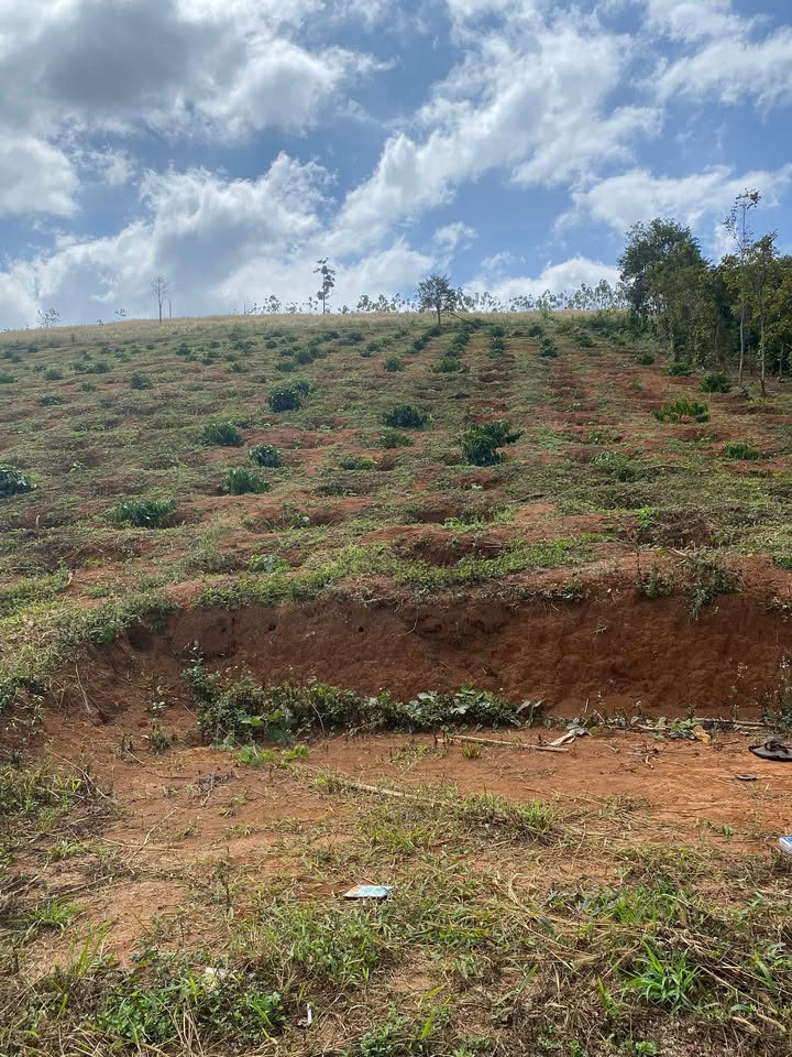 Đất nền 1,5ha xã Nâm Nung, giá 480 triệu - Cơ hội đầu tư hấp dẫn!