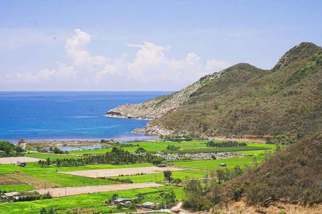 Đất mặt tiền Tỉnh Lộ 1B, xã Ninh Thân, 4574m² giá 879 triệu - View biển Ninh Vân tuyệt đẹp!