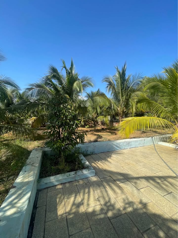 Nhà vườn Biệt thự Láng Dài 1764m² giá thỏa thuận - Tận hưởng không gian nghỉ dưỡng lý tưởng!