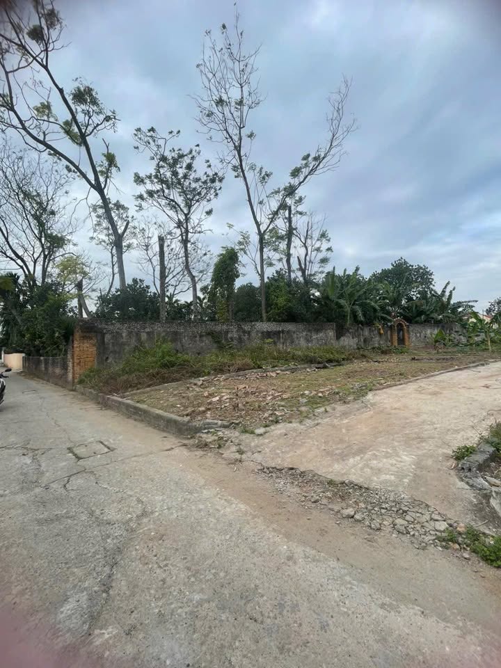 Đất lô góc 2 mặt tiền Thường Tín 58.8m² giá 3 tỷ - Tiềm năng phát triển cao!