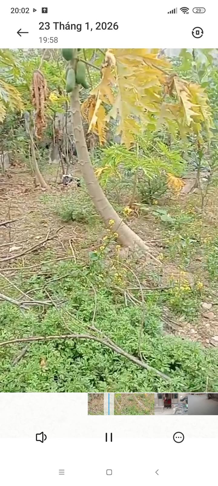 Đất thổ cư Thôn Ngọ Phú Xuyên 80m² giá 3 tỷ - Đầu tư sinh lời tốt!