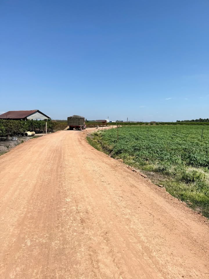 Đất nền Thị trấn Dương Minh Châu - 1600m² giá chỉ 300 triệu - Cơ hội đầu tư không thể bỏ lỡ!