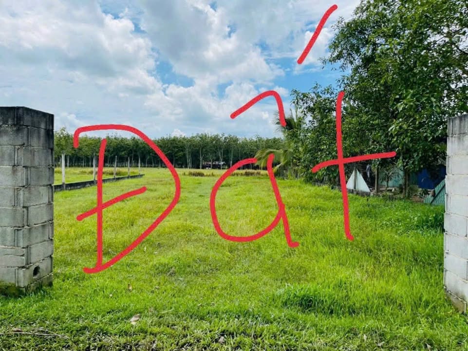 Đất vườn xã An Nhơn Tây, Củ Chi 500m² giá 900 triệu - Đầu tư lý tưởng!