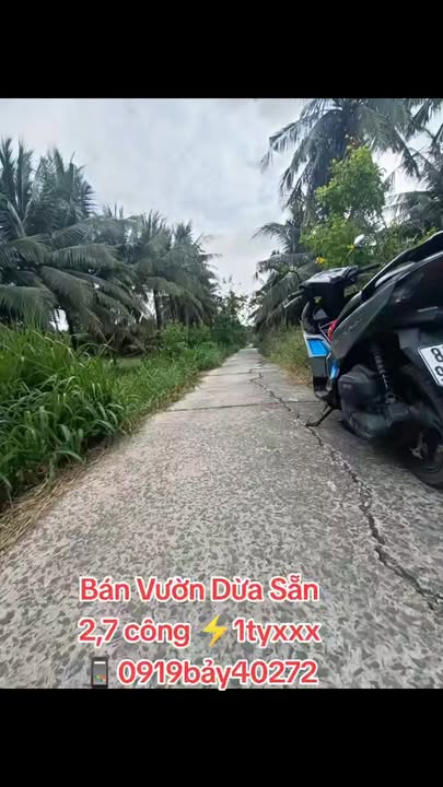 Đất vườn Dừa Càng Long 2698m² giá 1 tỷ - Bán gấp, mặt tiền 28m!