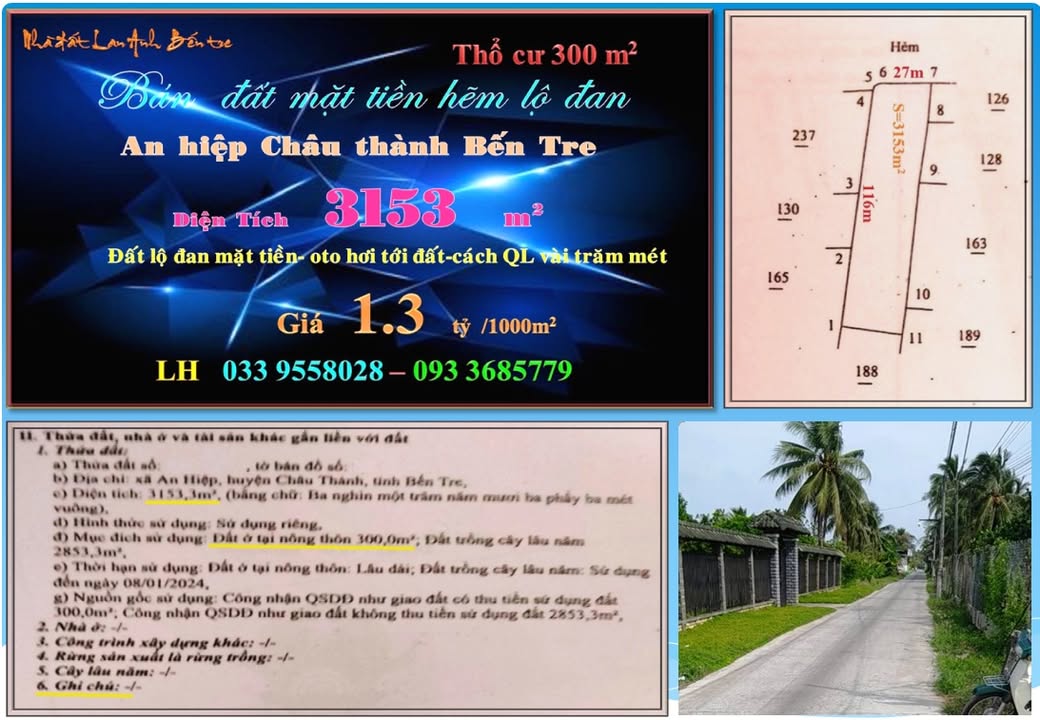 Đất mặt tiền hẻm An Hiệp, Bến Tre 3150m² giá 4.1 tỷ - Cơ hội đầu tư hấp dẫn!