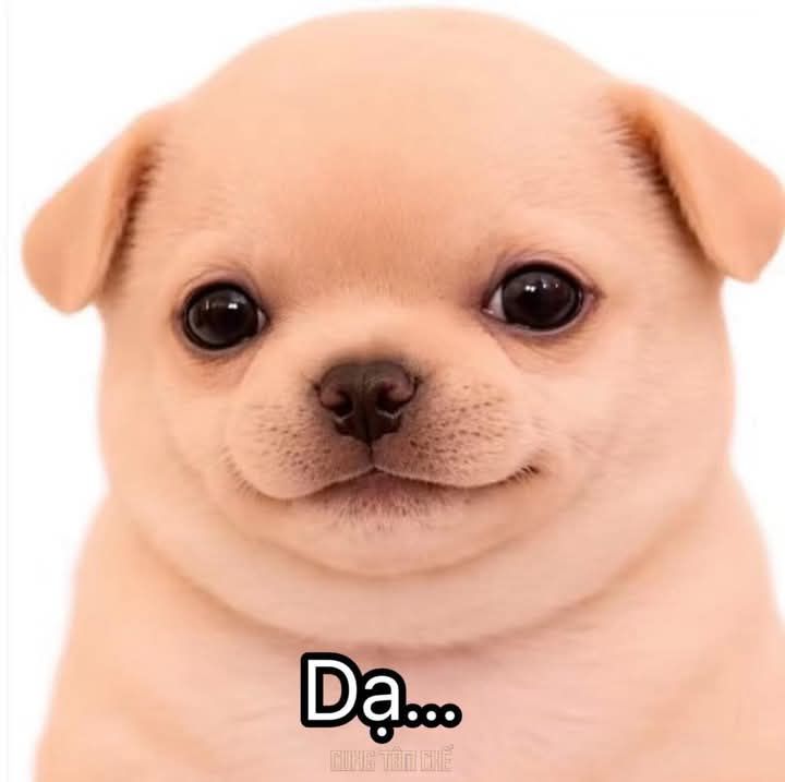 Đất nền hẻm ô tô Lê Hồng Phong, TP Sóc Trăng - Diện tích 240m², giá chỉ 900 triệu!