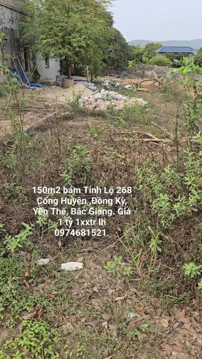 Đất nền 150m² tại Tỉnh Lộ 268, Yên Thế, Bắc Giang giá 1.1 tỷ - Đầu tư sinh lời ngay!