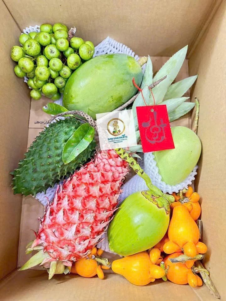 Đất thổ cư 2231m² mặt tiền sông Vàm Cỏ, giá 2.4 tỷ - Cơ hội đầu tư tuyệt vời!