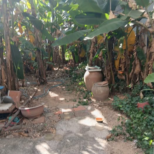 Đất thổ cư Phú Cường, Thủ Dầu Một 77m² giá 870 triệu - Đầu tư sinh lời ngay!