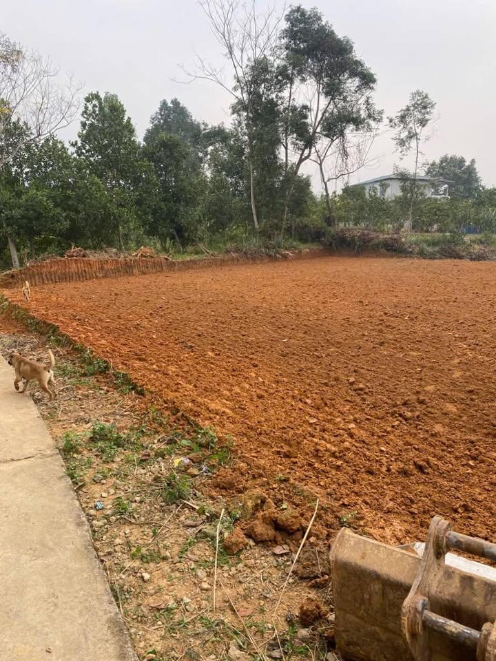 Đất vườn Thái Niên Bảo Thắng 1040m² giá chỉ 1.2 tỷ - Sổ đỏ chính chủ!