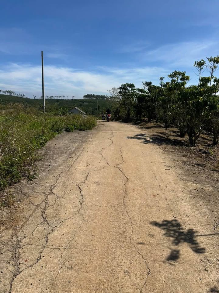 Đất thổ cư 3030m² tại Lộc Ngãi, Bảo Lâm giá 1 tỷ - Quy hoạch 90%!