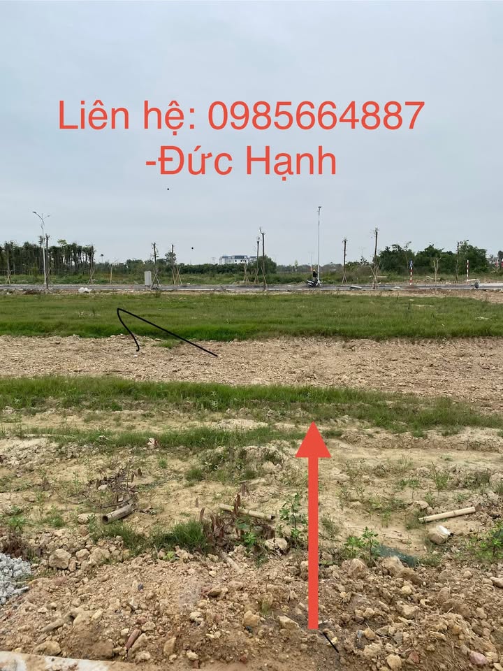 Biệt thự Metropolis Thành Đông, Gia Lộc 242m² - Đầu tư sinh lời lý tưởng!