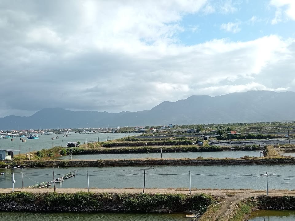 Đất nền xã Ninh Thọ, Ninh Hòa 1ha - Vị trí đẹp, giá tốt!