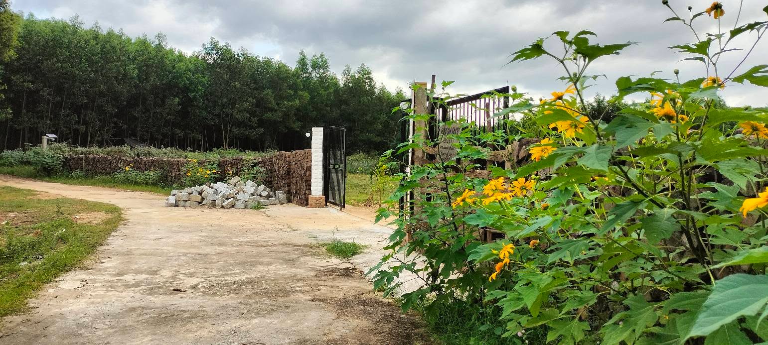 Đất vườn Diên Đồng, 600m² - Chính chủ, mặt tiền đường nhựa