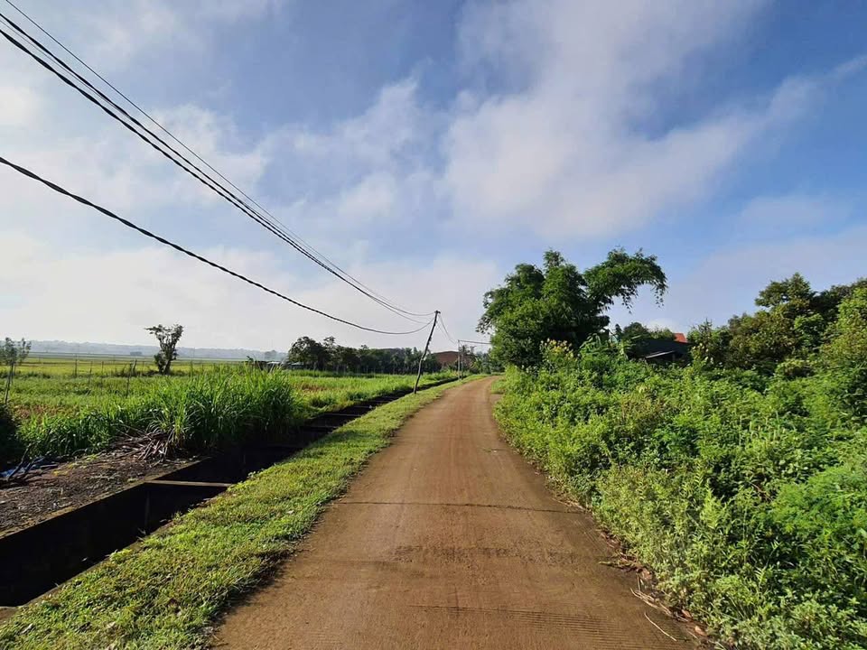 Bán lô đất hẻm Tố Hữu Cam Ranh 100m² giá 750 triệu - Đất thổ cư chính chủ!