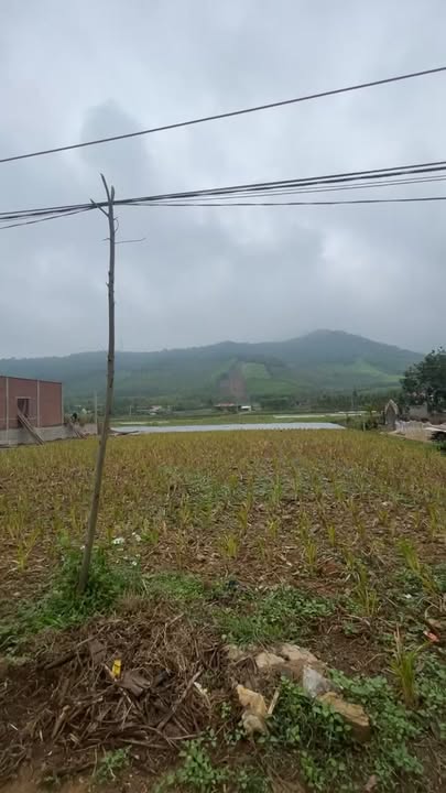 Đất nền xóm Bá Ngọc, xã Quỳnh Châu cũ 630m² giá chỉ 1.968 tỷ - Cơ hội đầu tư không thể bỏ lỡ!