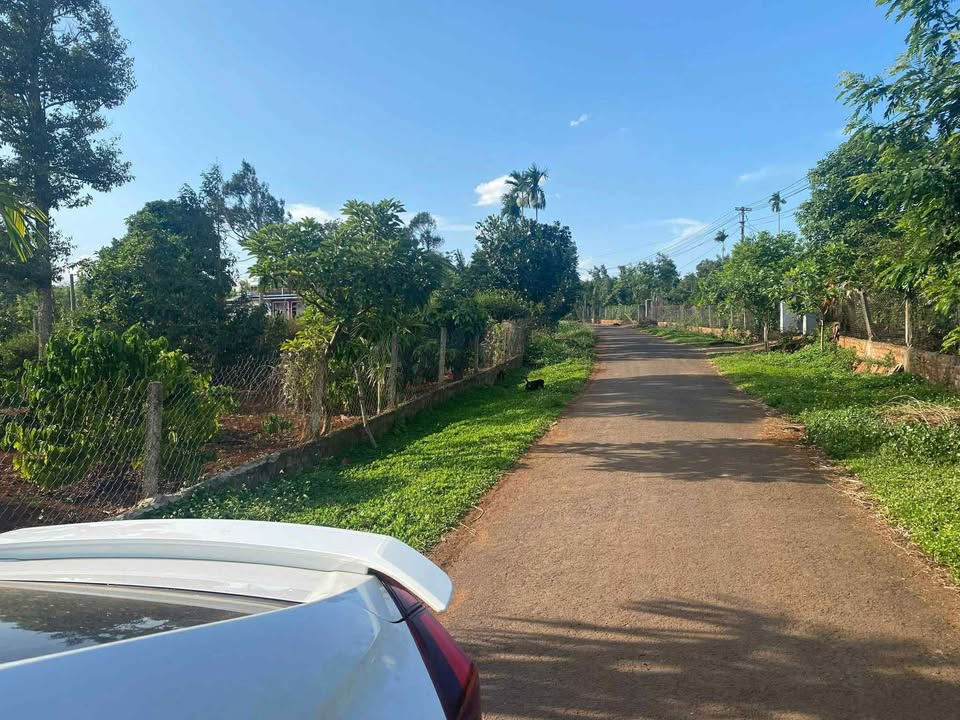 Đất thổ cư xã Ea Ning, huyện Cư Kuin 670m² giá 670 triệu - Đầu tư sinh lời dài hạn!