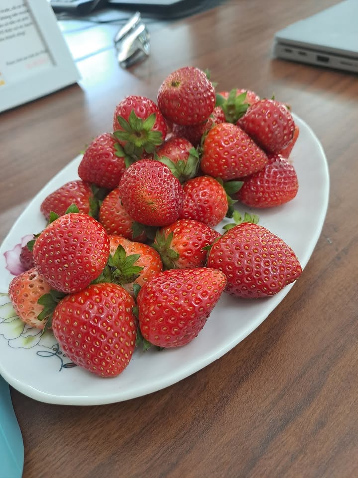 Bán đất nền Phúc Chỉnh Nam Thành Ninh Bình 42m² giá chỉ từ 1.4 tỷ - Cơ hội đầu tư hấp dẫn!