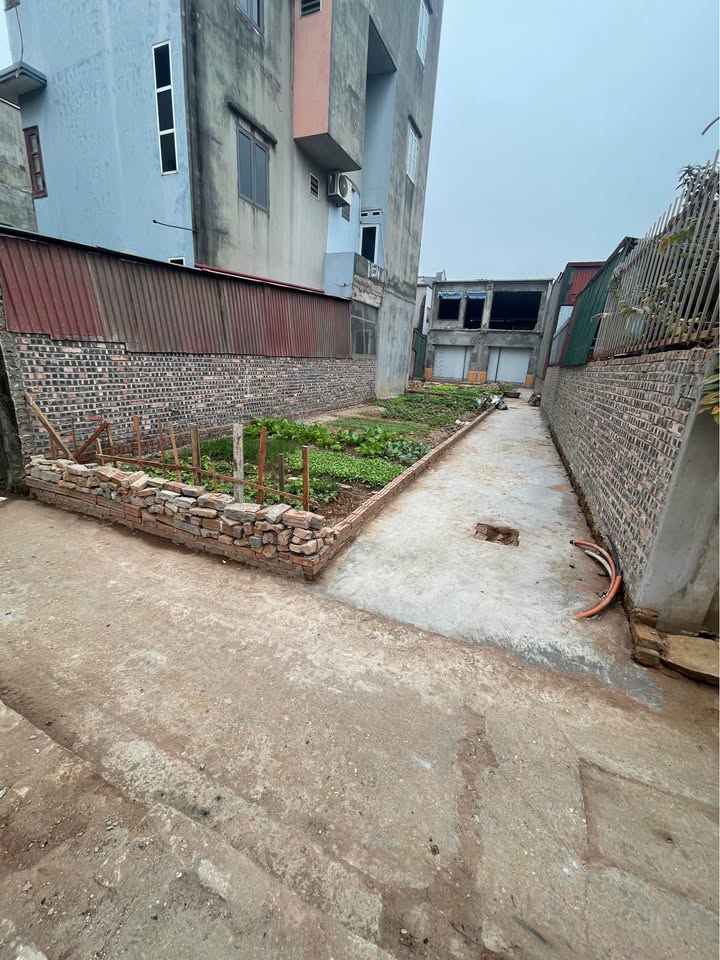 Đất lô góc Phù Khê - Bắc Ninh 54,3m² giá 1,45 tỷ - Cơ hội đầu tư tuyệt vời!