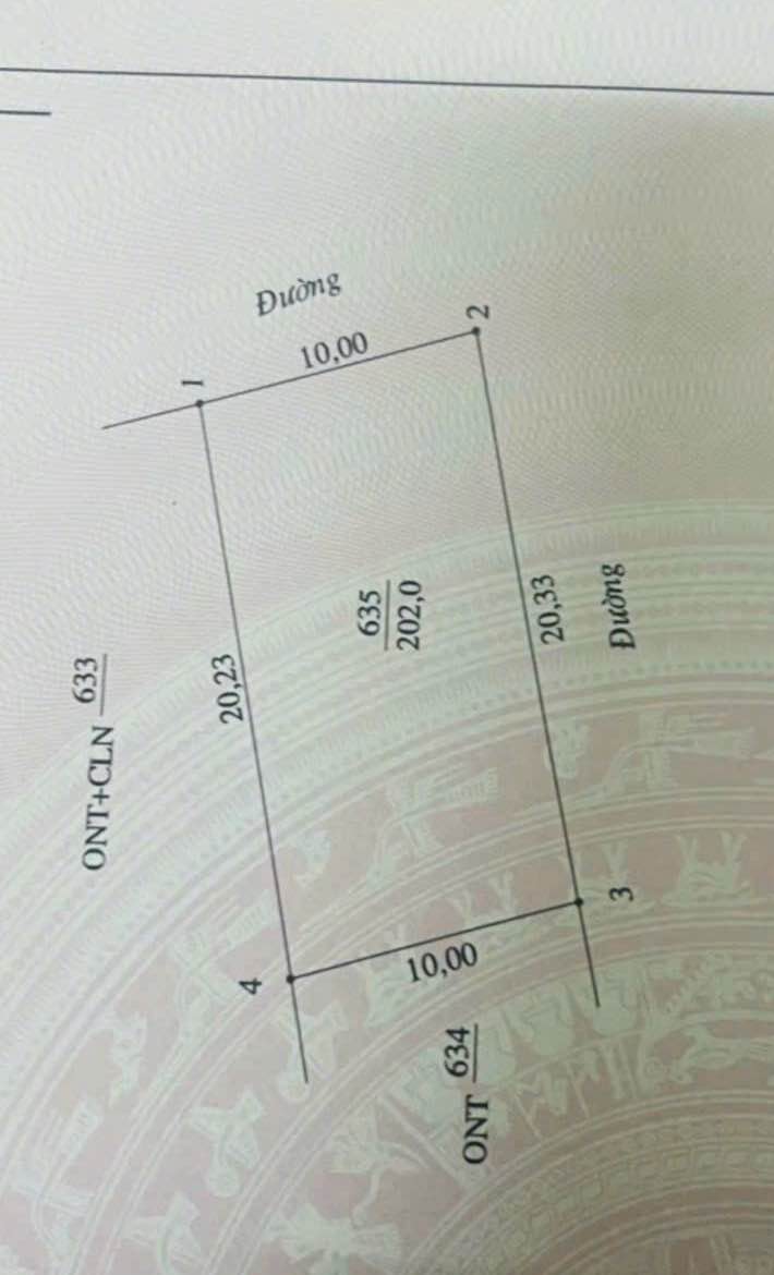 Đất nền Thị trấn Quán Hành 202m² giá 2.6 tỷ - Vị trí đắc địa gần trung tâm!