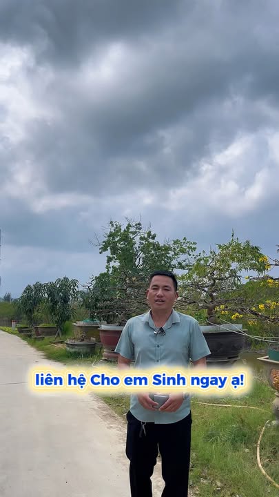 Đất nền Kiệt ô tô Thủy Thanh, 93m² giá 1.2 tỷ - Đầu tư sinh lời ngay!