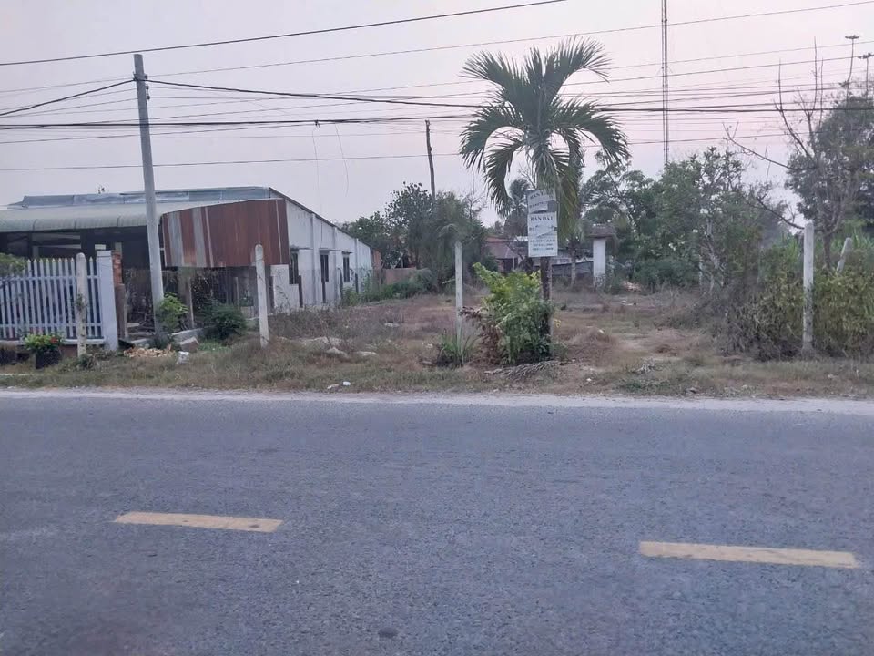 Đất thổ cư mặt tiền đường nhựa Giồng Cà - Bình Minh 202m² giá 3.037 tỷ - Đầu tư sinh lời ngay!