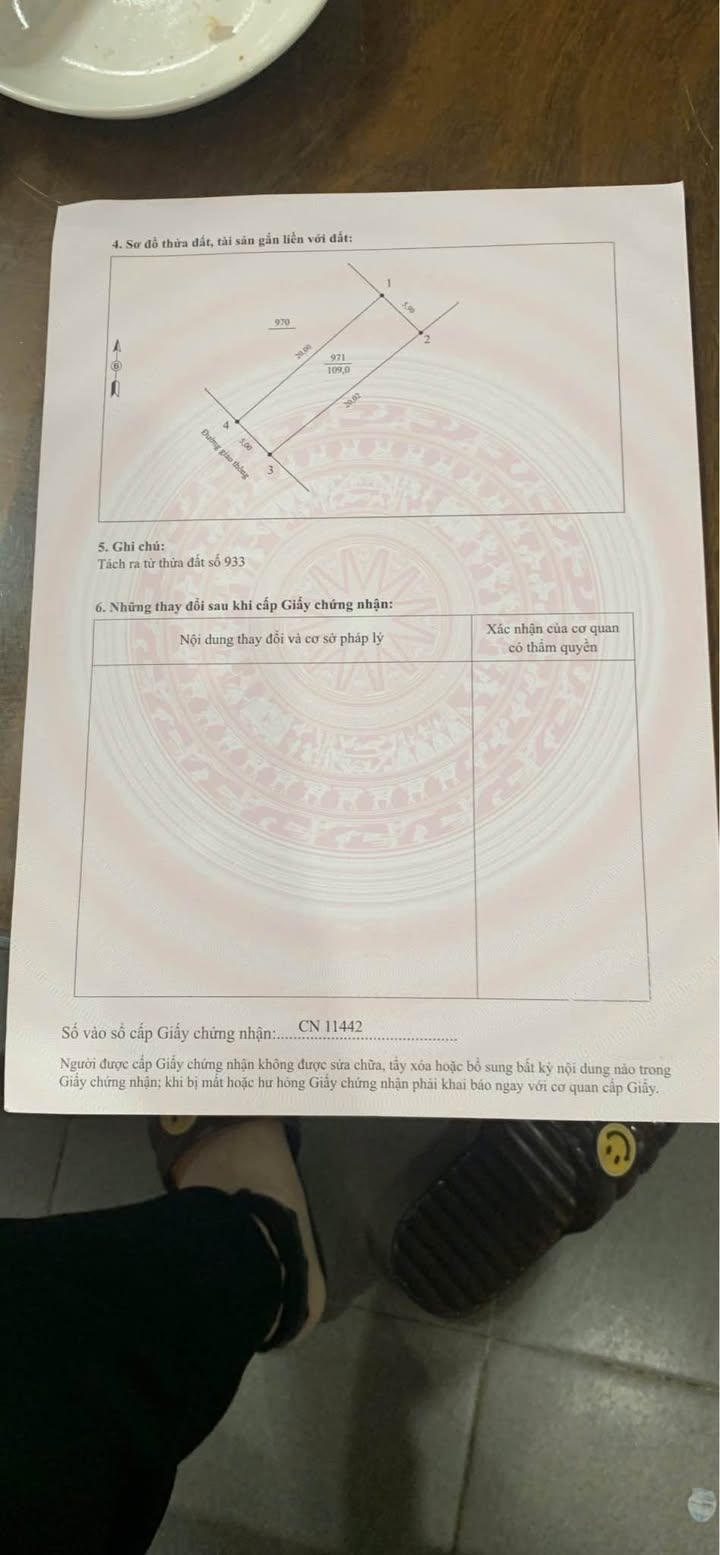 Đất thổ cư Xã Thanh Đình 109m² giá chỉ 1.25 tỷ - Đầu tư sinh lời ngay!